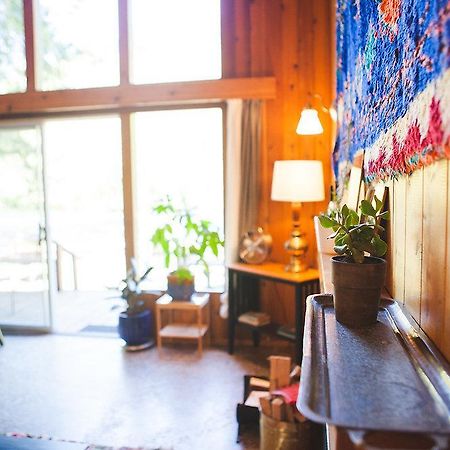 Loloma Lodge And Cabins McKenzie Bridge 외부 사진